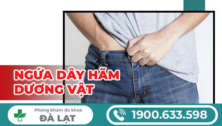 Hình ảnh minh họa